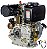 Motor a Diesel Toyama 12,5hp 456cc TDE130EXP Partida Elétrica Td0 - Imagem 5