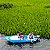 Super Caiaque Mine Barco Milha Náutica Boat Verde com Motor de Popa Kawashima 6,5hp 4t P. Elétrica Ré Frente e Neutro Mn20 - Imagem 7