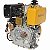 Motor a Diesel Buffalo Bfde 10hp com Redutor 1800rpm Partida Elétrica Bd2 - Imagem 2