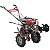 Motocultivador a Gasolina Branco Bttg7,5 Reduzido 3 Marchas 7,5hp 223cc 4t Er7 - Imagem 1