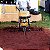 Motocultivador Buffalo BFDE 1120 Plus C a Diesel 10hp Mc6 - Imagem 3