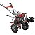 Motocultivador Gasolina 7,5hp Roçadeira Frontal e BigaTb7 - Imagem 2