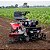 Trator Cultivador Toyama TDRT15T-XP Diesel 15HP 531cc Motocultivador com Banco e Volante Td5 - Imagem 13