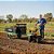 Motocultivador a Gasolina Buffalo Bfg890 7hp com Carreta Garthen GCM-250 Capacidade 250kg Tc6 - Imagem 2