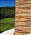 Pedra Morisca Golden 5 Livre - Imagem 5