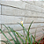 3D Ripa de concreto aparente 09 x 100 cm M² - Imagem 2