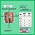 Calcinha Conforto Viés Aberto Lisa Kit com 6 Peças - Imagem 6