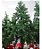 Árvore De Natal Pinheiro 1,80m C/388 Galhos - Imagem 1