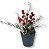 Planta Decorativa Enfeite Natal Nevado C/ Cereja E Pinha 2ps - Imagem 2