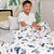 Cobertor Infantil Plush Print com Sherpa 1,27 x 1,52 Pirata Azul - Imagem 2