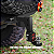 Engate Reboque Ajustável 25cm Drop Preto Fosco 2" - Imagem 2