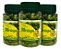 Moringa PREMIUM 500mg -  90 Cápsulas - Kit com 3 frascos - Imagem 1