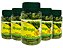 Moringa PREMIUM 500mg 90 Caps Kit com 5 frascos - Imagem 1