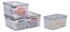 Kit Potes Organizadores De Geladeira Gofresh Com Cesto - Imagem 2