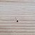 Piercing Nariz Ponto de Luz Prata 925 - PIPR183 - Imagem 3