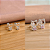 Brincos Gatinho com Zircônia Prata 925 - BPR731 - Imagem 1