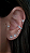 Piercing Borboleta Cravejado para Helix Prata 925 - PIPR423 - Imagem 2