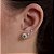 Brincos com Flor com Zircônias Prata 925 - BPR861 - Imagem 1