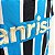 Grêmio 2011 Uniforme Titular Tam G Jogador - Imagem 5