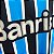 Grêmio 2013 Uniforme Titular Tam M Jogador - Imagem 6