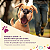 Defenza 100mg de 4,5 a 10kg para Cães MDS - Imagem 9
