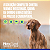 Antipulgas e Carrapatos NexGard Spectra para Cães de 3,6 a 7,5kg - Imagem 7