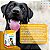 Suplemento Ômega 3 Dog 1000mg 30 Comprimidos Organnact - Imagem 3