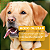 Promun Dog Tabs Suplemento Organnact 52,5g - 30 Tabletes - Imagem 6