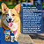 Antipulgas e Carrapatos Frontline Spray para Cães e Gatos - Imagem 4