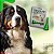 Antipulgas e Carrapatos Frontline Plus para Cães de até 10kg - Imagem 8
