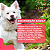 Organnact Mammy Dog 300g Para Cadelas Em Gestacao - Imagem 5