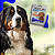 Antipulgas e Carrapatos Frontline Topspot para Cães de 1 a 10kg - Imagem 9