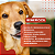 Antiparasitário Virbac Endogard para Cães de Até 10 kg - Imagem 6