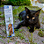 Solução Otológica Virbac Epiotic SIS para Cães e Gatos 100 ml - Imagem 14