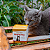 Rennapro Cat Suplemento Organnact 60g - Imagem 9