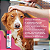 Shampoo Dermatológico Virbac Allermyl SIS para Cães - Imagem 5
