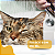 Shampoo Dermatológico Virbac Hexadene Spherulites para Cães e Gatos - Imagem 5