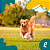 Omega 3 Dog 1000mg C/90 Cápsulas 90g - Organnact - Imagem 8