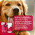 Galliprant 60 mg Anti-inflamatório para Cães Elanco – 30 Comprimidos - Imagem 9