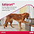 Galliprant 100mg Anti-inflamatório para Cães Elanco – 30 Comprimidos - Imagem 6