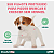 Vermífugo Drontal Puppy para Cães - Imagem 4