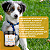 Macrogard Pet Stick's Suplemento Cães 210g Avert - 30 Uni - Imagem 3