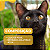 Ograx-3 1000 Avert Suplemento Cães E Gatos 30 Capsúlas - Imagem 6