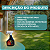 Inseticida Spray Klerat 500ml - Syngenta - Imagem 5