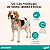 Kit 2 Drontal Plus Carne Vermífugo Cães Até 35kg 2 Comp - Imagem 6