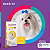 Antipulgas e Carrapatos Bravecto MSD para Cães até 4,5 kg + BRINDE - Imagem 9