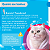 Antipulgas Bravecto Plus Gatos 6,25 a 12,5 kg 1,79 ml - Imagem 6