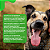 Antipulgas e Carrapatos Frontline Plus Cães entre 20 e 40kg - Imagem 7