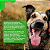 Antipulgas e Carrapatos Frontline Plus Cães entre 10 e 20kg - Imagem 7