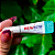 Antipulgas Bravecto Transdermal Gatos 2,8 a 6,25kg 250 mg - Imagem 13
